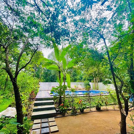 Gangadiya Lodge シギリヤ エクステリア 写真