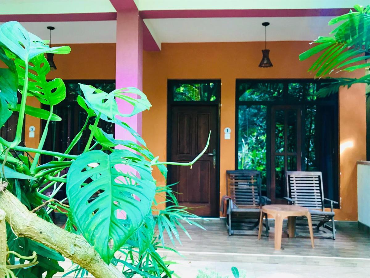 Gangadiya Lodge シギリヤ エクステリア 写真