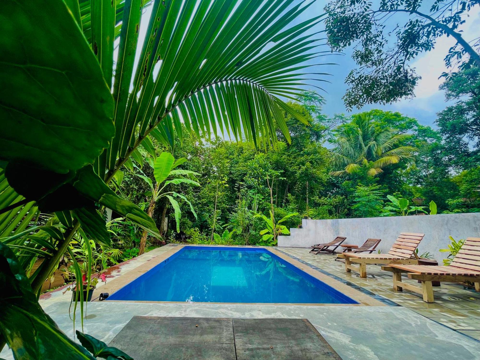Gangadiya Lodge シギリヤ エクステリア 写真