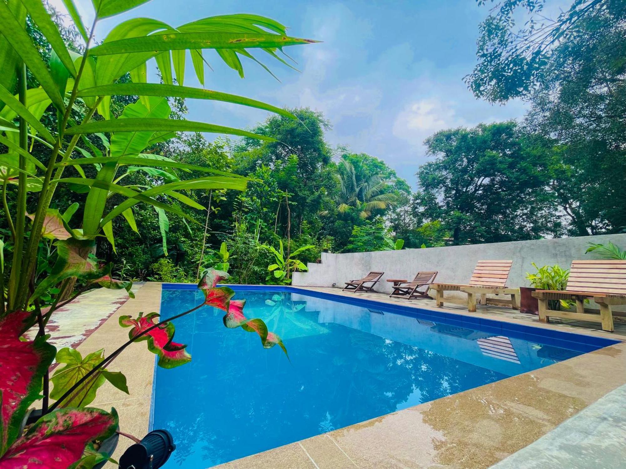 Gangadiya Lodge シギリヤ エクステリア 写真